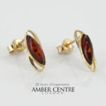 Italian Made Unique German Baltic Amber Studs In 9ct Gold GS0102 RRP£225!!!