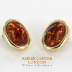Italian Hand Made Unique German Baltic Amber Clip-On Earrings In 14 Ct Gold - GCL0516 RRP£1300!!!