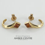 Italian Made Unique German Baltic Amber In 9ct Gold Studs GS0079 RRP£295!!!