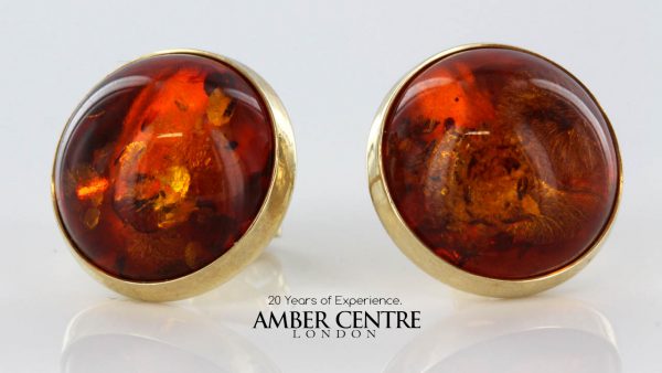 Italian Made Large German Baltic Amber Stud Earrings In 9ct Solid Gold GS0057 RRP £375!!!