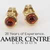 Italian Made Exquisite German Baltic Amber In 9ct Gold Studs GS0085 RRP£125!!!