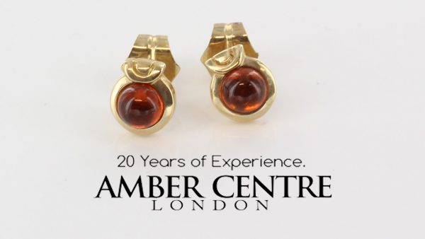 Italian Made Exquisite German Baltic Amber In 9ct Gold Studs GS0085 RRP£125!!!