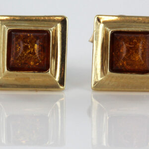 Italian Made Unique German Baltic Amber Studs In 9ct solid Gold GS0028 RRP£135!!!