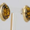 Italian Made Large German Green Baltic Amber Studs 9ct Gold GS0133G RRP £295!!!