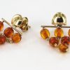 Italian Handmade Unique German Baltic Amber in 9ct Gold Drop Earrings GE0079 RRP£195!!!