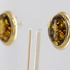 Italian Made Large German Green Baltic Amber Studs 9ct Gold GS0133G RRP £295!!!