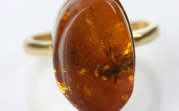 Amber Ring 14ct solid Gold German Baltic Amber with Ant insect Handmade GRR004 RRP£999!!!