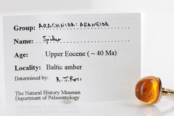 Amber with Insect Spider Rare German Baltic Amber Handmade 9ct solid gold GRR012 RRP£800!!!