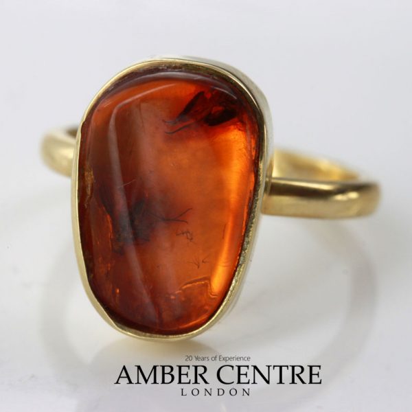 German Baltic Amber Handmade 14ct Gold Ring Containing Long legged Fly GRR014 RRP900!!!