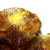 Lizards Mexican Amber Carving Super Quality Collectible Item - OT5228 RRP£9000!!
