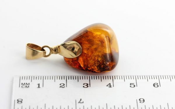 Mexican/Dominican Amber Pendant in 14ct Gold Unique and Rare - GPM015 RRP£625!!!