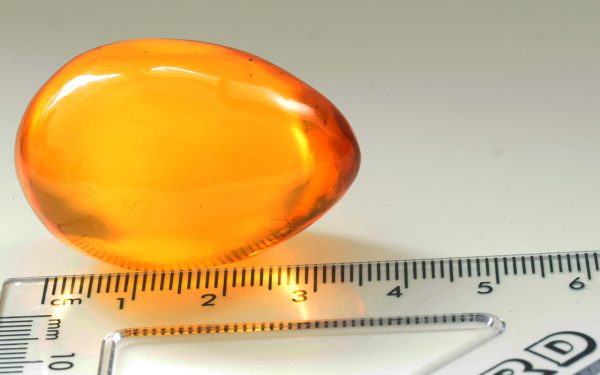 Butterscotch German Genuine Antique Amber Baltic Amber Egg - OT6448 RRP£1500!!!