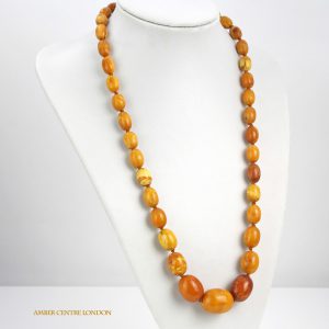 Antique German Konigsberg Baltic Amber Unique Butterscotch Beaded Necklace A0128 RRP£8500!!!