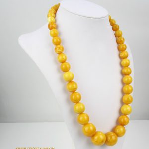 Antique German Konigsberg Butterscotch Baltic Amber Necklace A0608 RRP£12500!!!