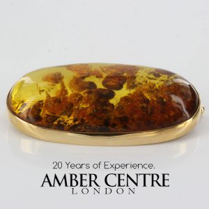 Italian Handmade Unusual German Baltic Amber with organic inclusions in 14ct Gold Brooch GB0019 RRR£1750!!!