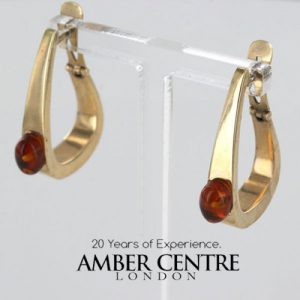 Italian Made Unique German Baltic Amber 9ct Gold Hoop Earrings GE0268 RRP275!!!