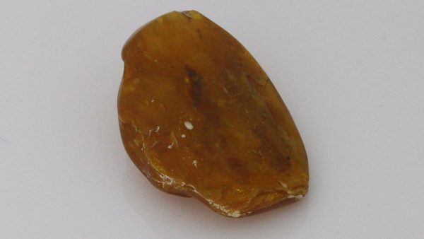 GERMAN BUTTERSCOTCH Unique POLISHED NATURAL BALTIC AMBER PIECE RS052 RRP£100!!!