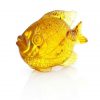 Mexican Amber Unique Fish Carving Super Quality Collectible Item -OT5225 £900!!!