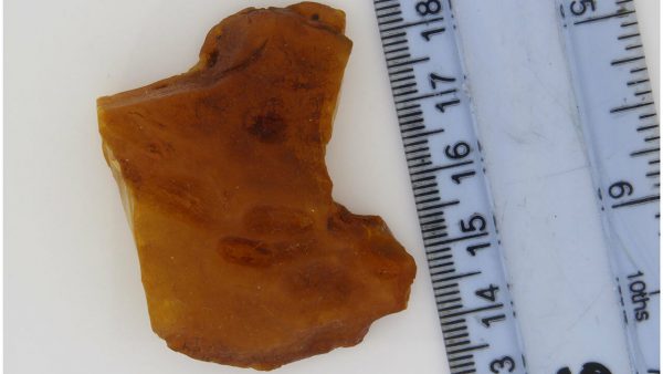 German BUTTERSCOTCH RAW UNPOLISHED BALTIC AMBER PIECE 13.7 GRAMS-RS021 RRP£110!!