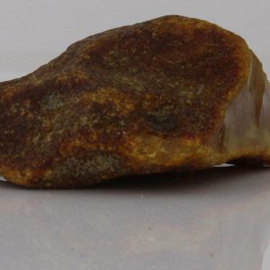 German BUTTERSCOTCH RAW UNPOLISHED BALTIC AMBER PIECE 11.3 GRAMS-RS044 RRP£95!!!