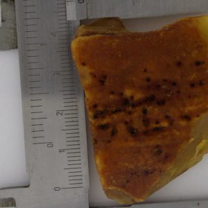 GERMAN BUTTERSCOTCH RAW UNPOLISHED BALTIC AMBER PIECE 16.7 GRAMS-RS041 RRP£165!!