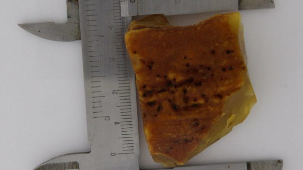 GERMAN BUTTERSCOTCH RAW UNPOLISHED BALTIC AMBER PIECE 16.7 GRAMS-RS041 RRP£165!!