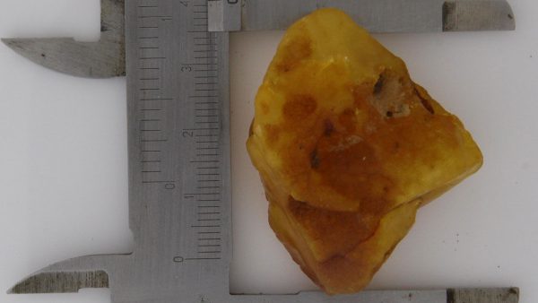 German BUTTERSCOTCH RAW UNPOLISHED BALTIC AMBER PIECE 11.9 GRAMS-RS039 RRP£125!!