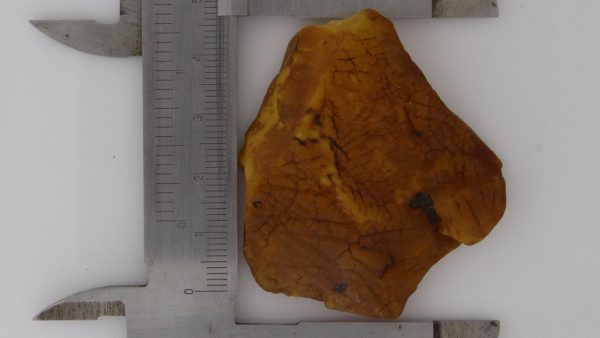 German BUTTERSCOTCH RAW UNPOLISHED BALTIC AMBER PIECE 14.3 GRAMS-RS050 RRP£139!!
