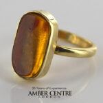 German Baltic Amber Handmade 14ct Gold Ring Containing Fungus Gnats GRR015 RRP£1000!!!