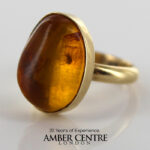 German Baltic Amber Handmade 9ct Gold Ring Containing Dance Fly GRR007 RRP£895!!!