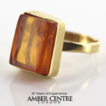 German Baltic Amber Handmade 9ct Gold Ring Containing Crane Fly GRR006 RRP£750!!!
