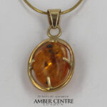 Italian Made Dominican Amber Pendant With Fly, Wasp, Fungus Gnat in 9ct solid Gold GPR045 RRP£495!!!