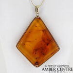 Italian Handmade Baltic Amber Pendant With Beetle, Fungus Gnat, Moth Fly, 4 Caddisflies and Long Legged Flies in 9ct solid Gold SL1069 RRP£6995!!!