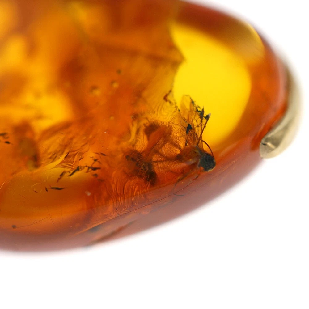 Italian Handmade Baltic Amber Pendant With Wasp, Long legged Flies, Fungus Gnat in 9ct solid Gold GPR062 RRPĀ£995!!! - Image 5