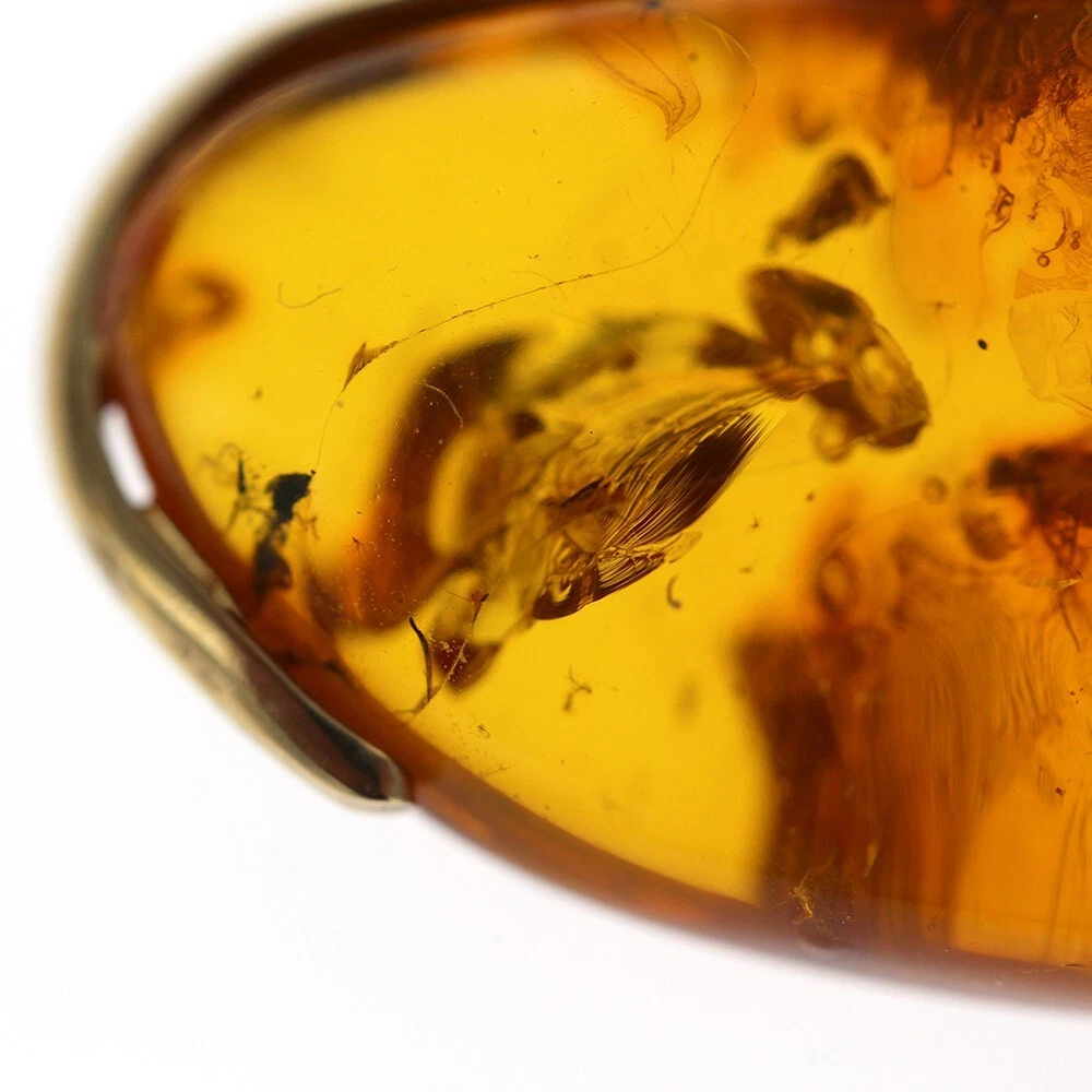 Italian Handmade Baltic Amber Pendant With Wasp, Long legged Flies, Fungus Gnat in 9ct solid Gold GPR062 RRPĀ£995!!! - Image 3