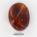 Dominican amber stone, unique, rare honey-red colour- OT4785 RRP£195!!!