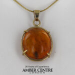 Italian Handmade Dominican Amber Pendant with Planthopper and Beetle in 9ct solid Gold GPR072 RRP£495!!