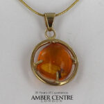 Italian Handmade Dominican Amber Pendant With Beetle in 9ct solid Gold GPR071 RRP£395!!!