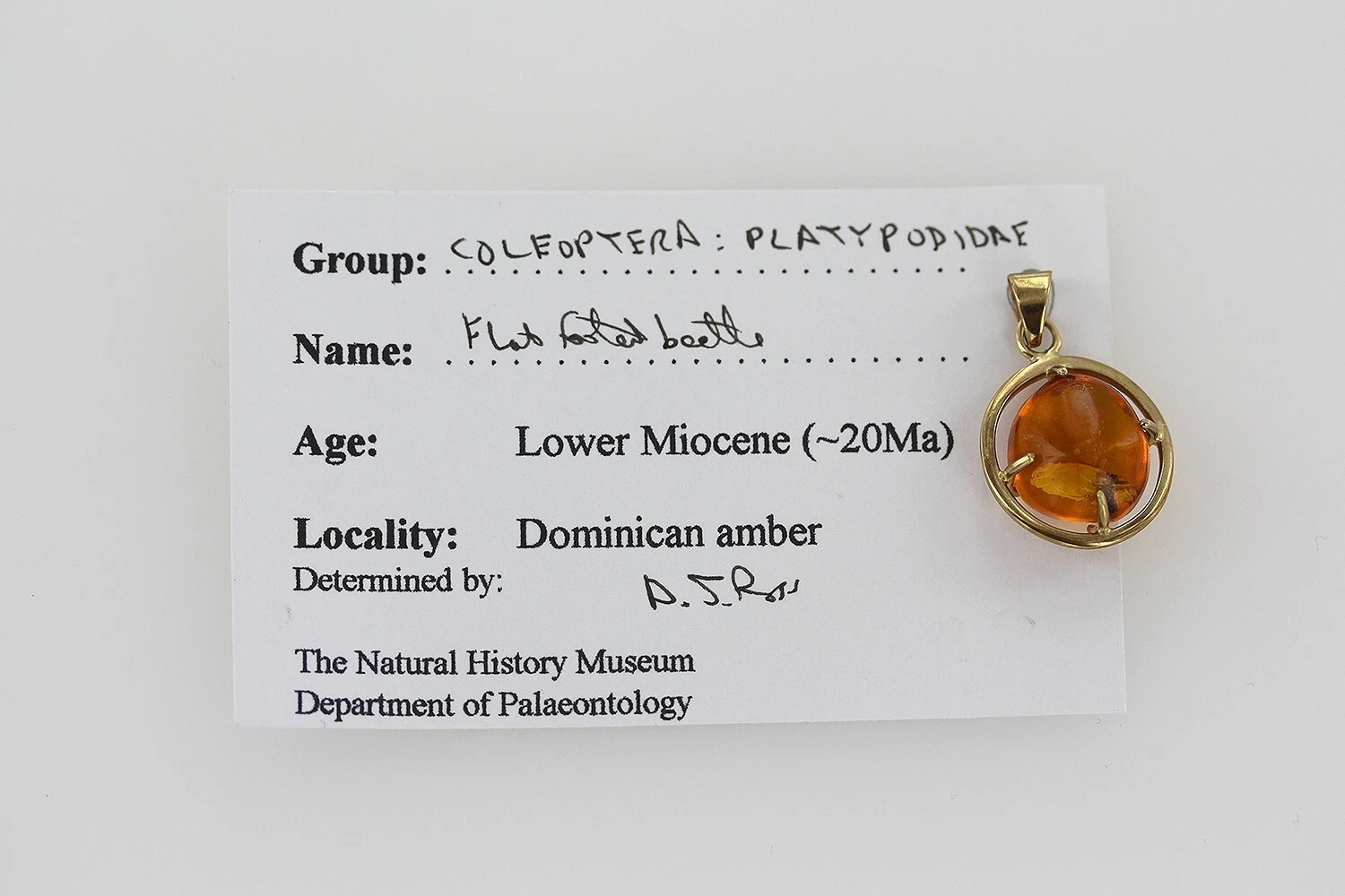 Italian Handmade Dominican Amber Pendant With Beetle in 9ct solid Gold GPR071 RRPĀ£495!!! - Image 3
