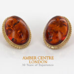 Italian Handmade German Baltic Amber Clip-On Earrings In 9ct Gold-GLC0006 RRP£995!!!