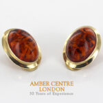 Italian Handmade German Baltic Amber Clip-On Earrings In 9ct Gold-GCL0007 RRP£995!!!